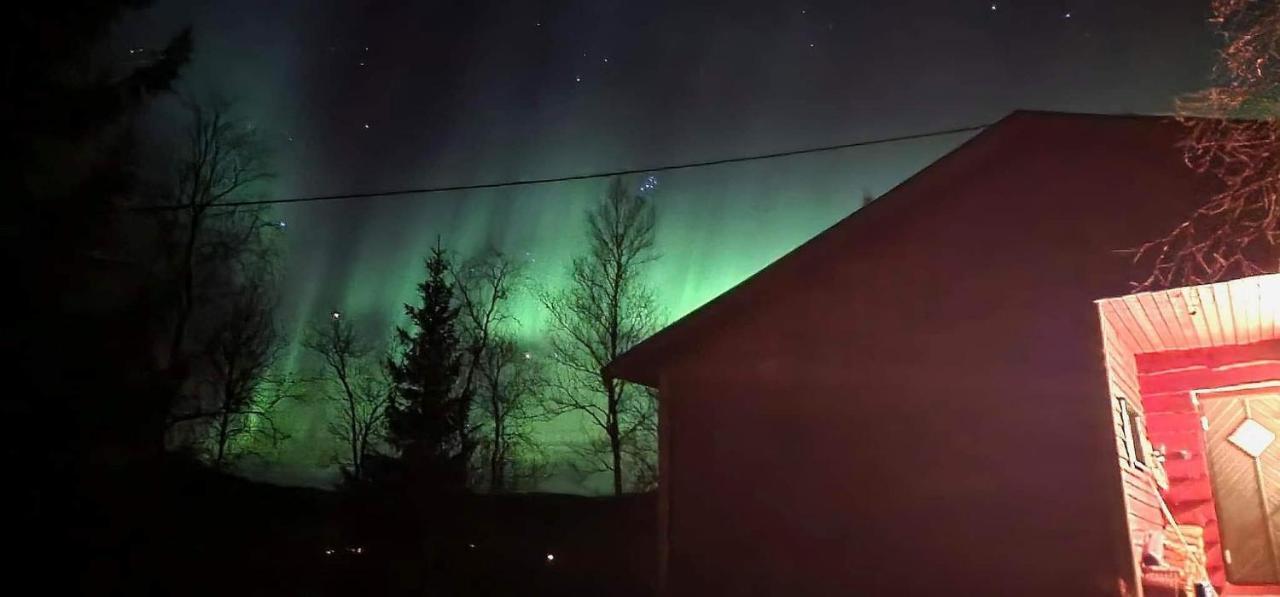 Cosy Cabin In North-Norway, Nearby Senja. Sorreisa ภายนอก รูปภาพ